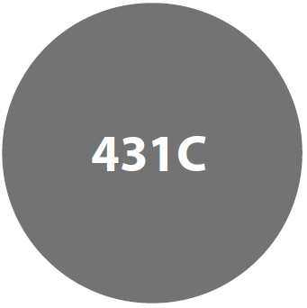 Gris Foncé (Ardesia 431C)